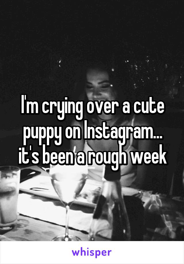 I'm crying over a cute puppy on Instagram... it's been a rough week