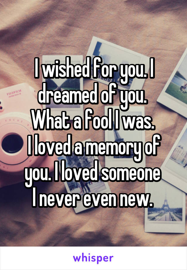 I wished for you. I dreamed of you. 
What a fool I was. 
I loved a memory of you. I loved someone 
I never even new. 