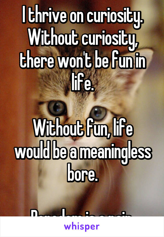 I thrive on curiosity.
Without curiosity, there won't be fun in life.

Without fun, life would be a meaningless bore.

Boredom is a pain.