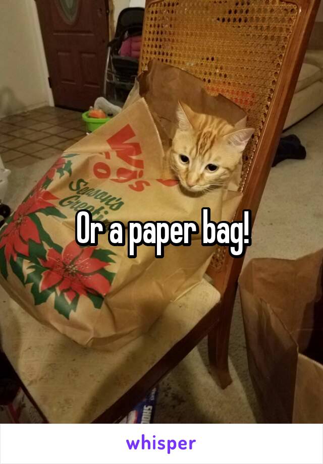 Or a paper bag!