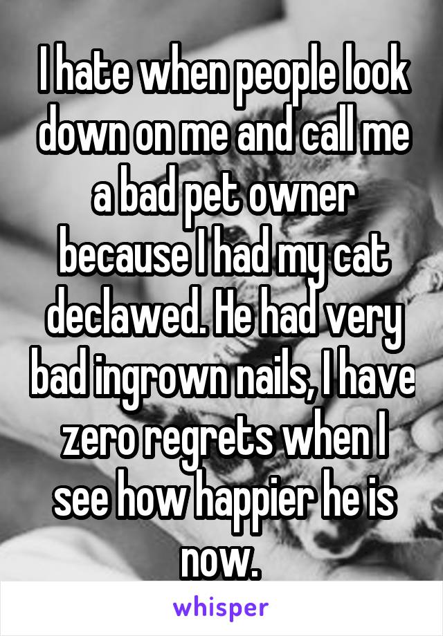 I hate when people look down on me and call me a bad pet owner because I had my cat declawed. He had very bad ingrown nails, I have zero regrets when I see how happier he is now. 