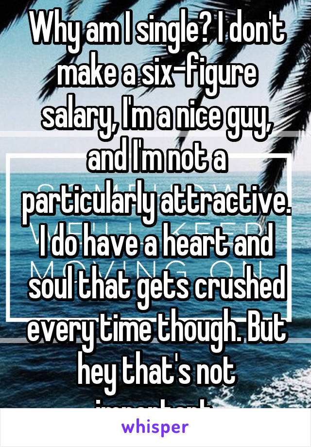 Why am I single? I don't make a six-figure salary, I'm a nice guy, and I'm not a particularly attractive. I do have a heart and soul that gets crushed every time though. But hey that's not important.