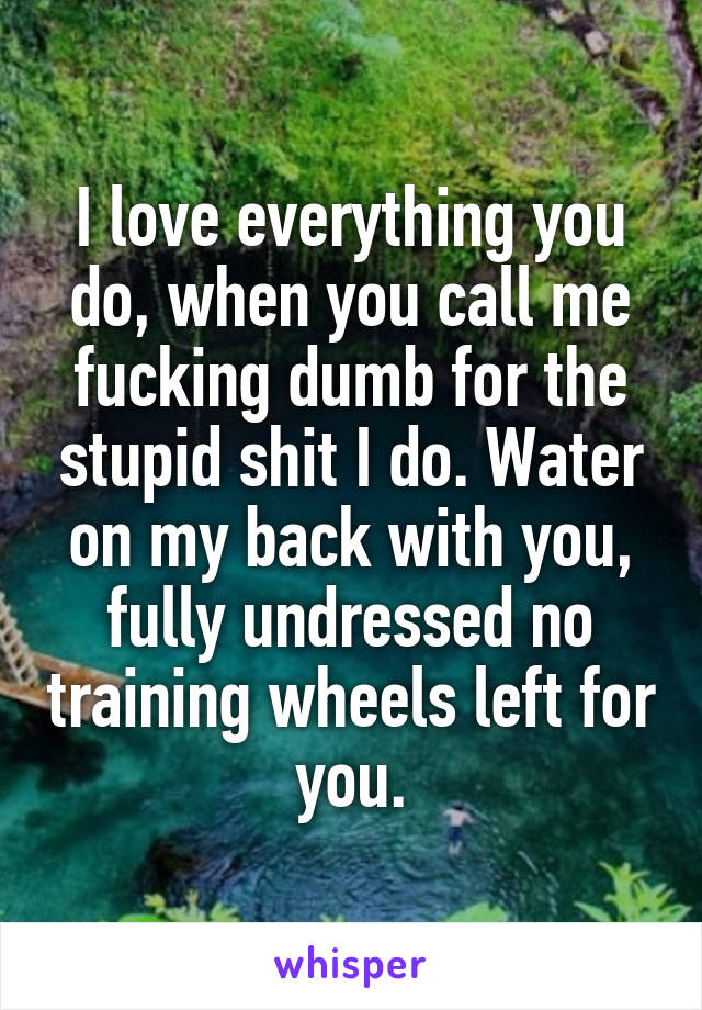 I love everything you do, when you call me fucking dumb for the stupid shit I do. Water on my back with you, fully undressed no training wheels left for you.