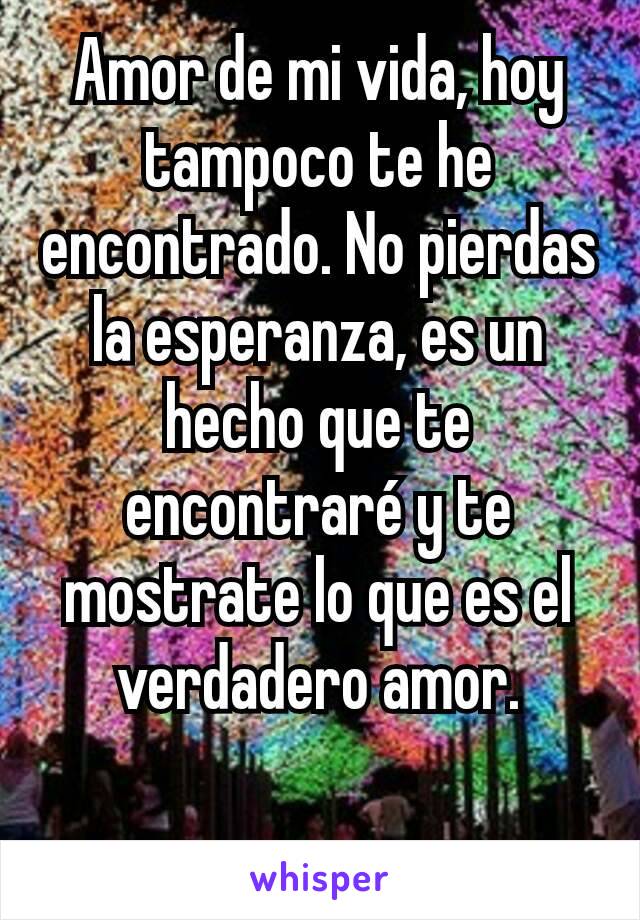 Amor de mi vida, hoy tampoco te he encontrado. No pierdas la esperanza, es un hecho que te encontraré y te mostrate lo que es el verdadero amor.

