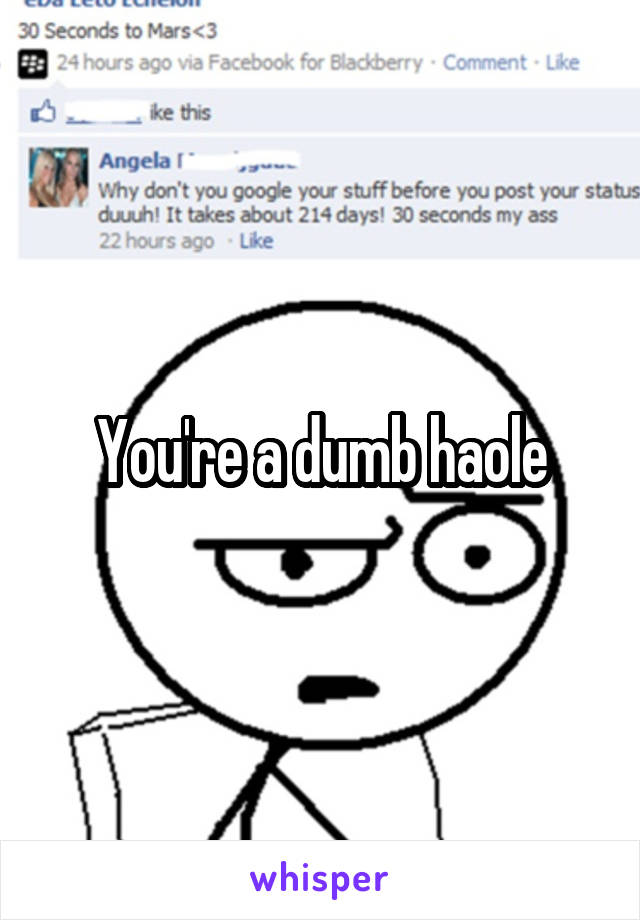 You're a dumb haole