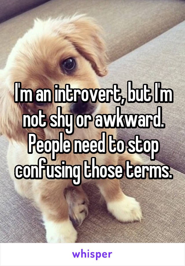 I'm an introvert, but I'm not shy or awkward. People need to stop confusing those terms.