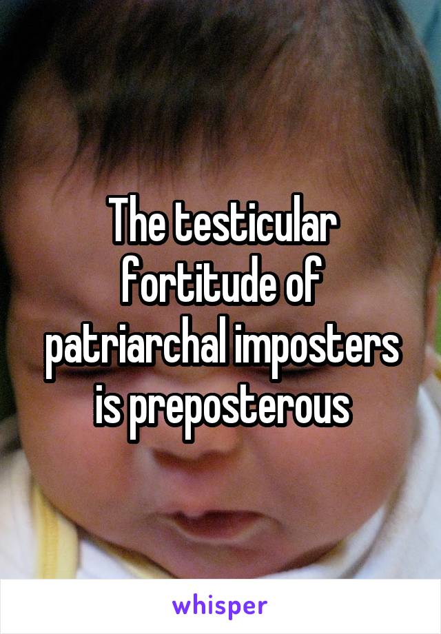 The testicular fortitude of patriarchal imposters is preposterous