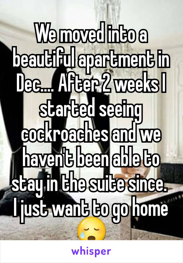 We moved into a beautiful apartment in Dec.... After 2 weeks I started seeing cockroaches and we haven't been able to stay in the suite since. 
I just want to go home
😥