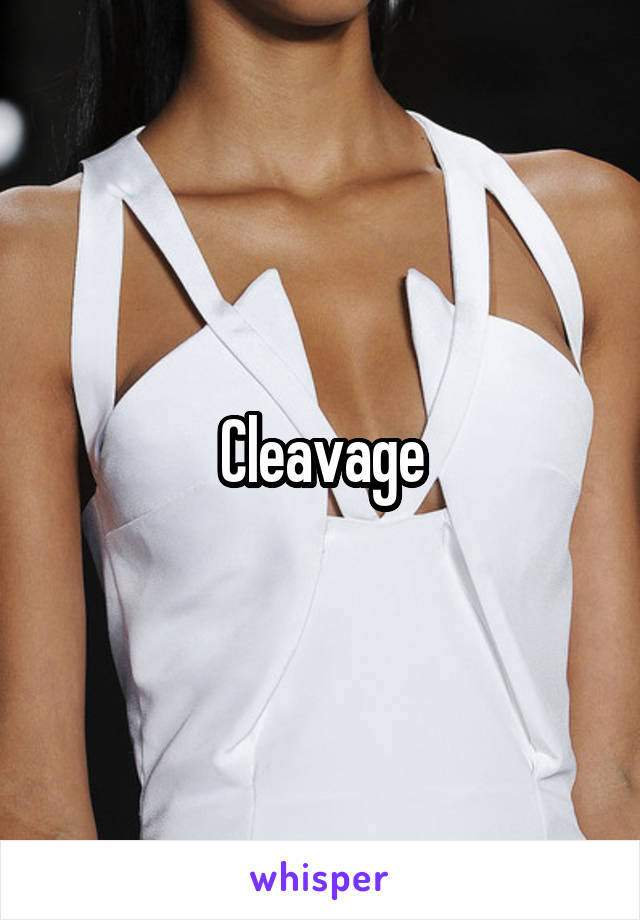 Cleavage