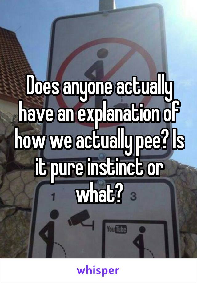 Does anyone actually have an explanation of how we actually pee? Is it pure instinct or what?