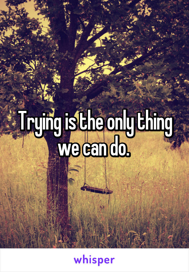 Trying is the only thing we can do. 