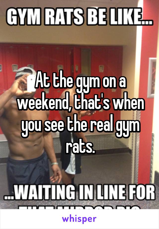 At the gym on a weekend, that's when you see the real gym rats.