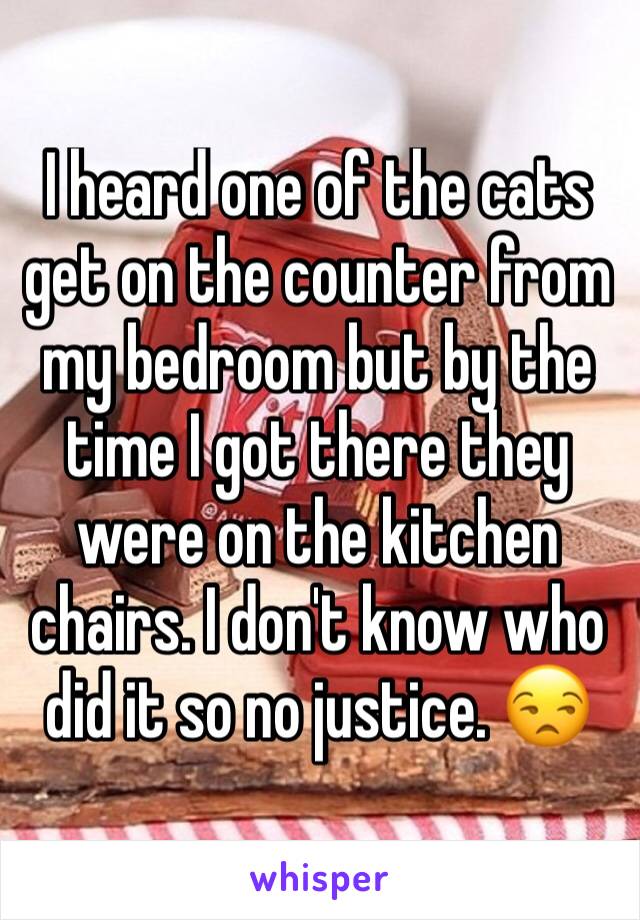 I heard one of the cats get on the counter from my bedroom but by the time I got there they were on the kitchen chairs. I don't know who did it so no justice. 😒