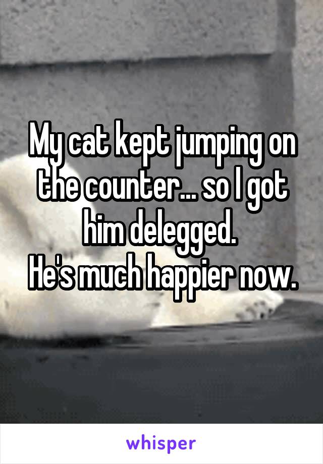 My cat kept jumping on the counter... so I got him delegged. 
He's much happier now. 