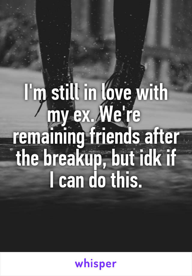 I'm still in love with my ex. We're  remaining friends after the breakup, but idk if I can do this.