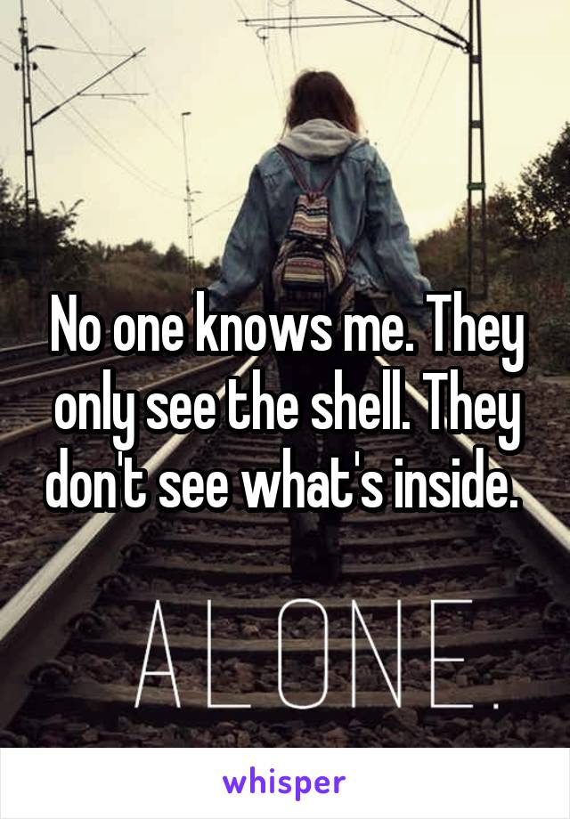 No one knows me. They only see the shell. They don't see what's inside. 