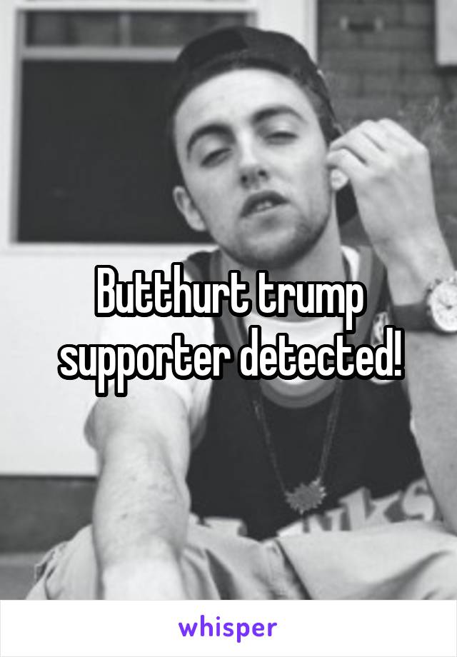 Butthurt trump supporter detected!