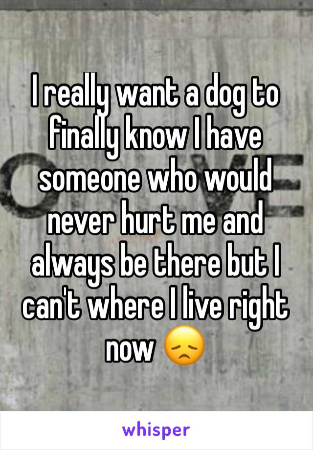 I really want a dog to finally know I have someone who would never hurt me and always be there but I can't where I live right now 😞