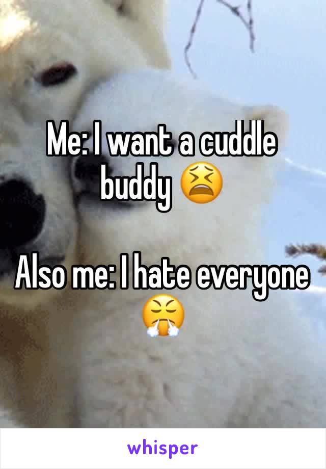 Me: I want a cuddle buddy 😫

Also me: I hate everyone 😤