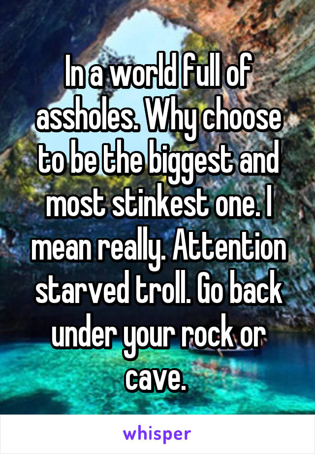 In a world full of assholes. Why choose to be the biggest and most stinkest one. I mean really. Attention starved troll. Go back under your rock or cave. 