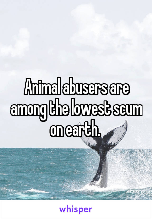 Animal abusers are among the lowest scum on earth. 