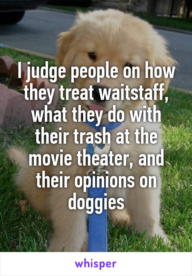 I judge people on how they treat waitstaff, what they do with their trash at the movie theater, and their opinions on doggies