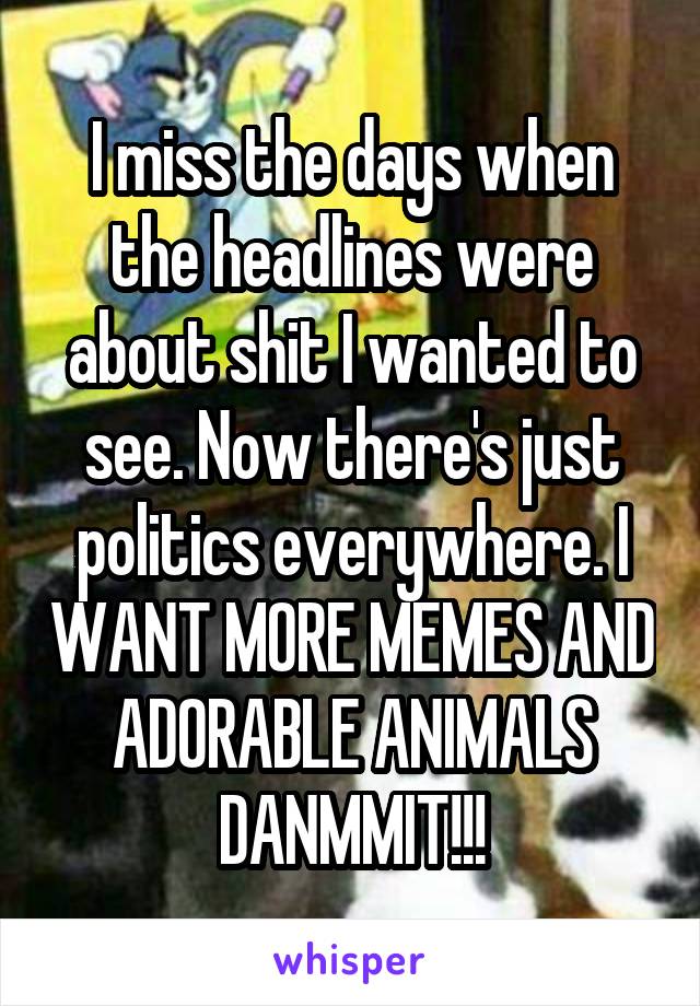 I miss the days when the headlines were about shit I wanted to see. Now there's just politics everywhere. I WANT MORE MEMES AND ADORABLE ANIMALS DANMMIT!!!