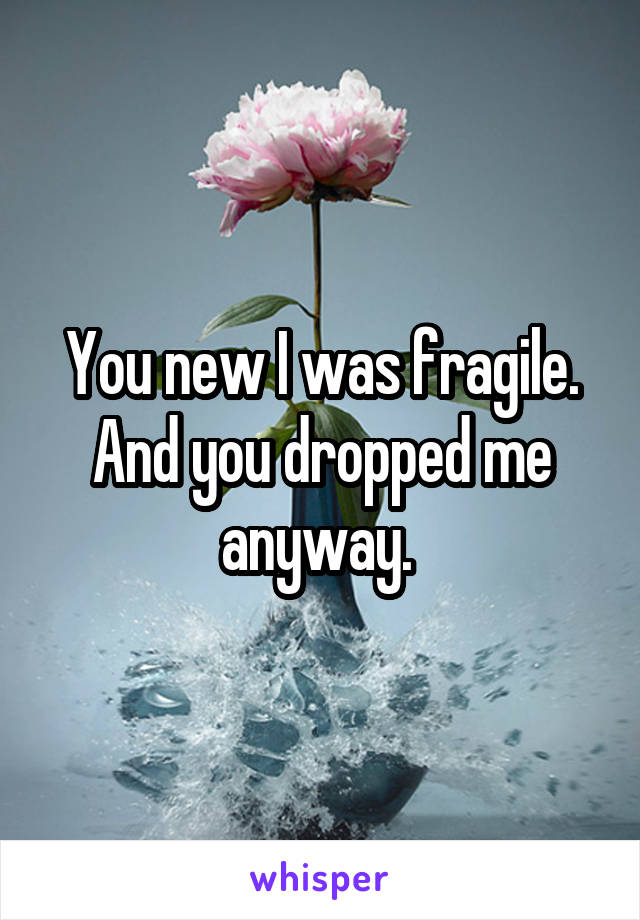 You new I was fragile. And you dropped me anyway. 