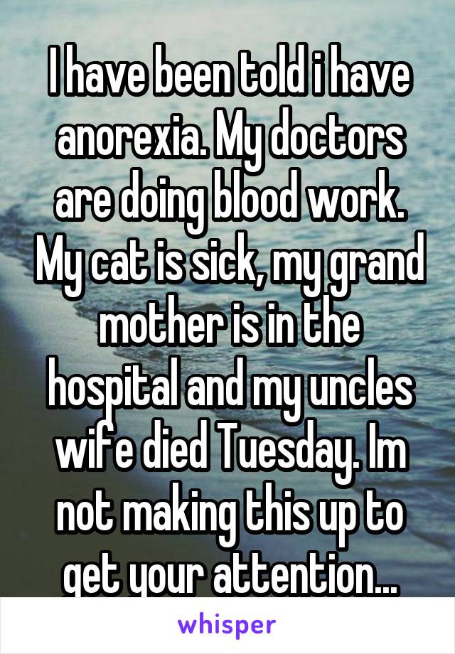 I have been told i have anorexia. My doctors are doing blood work. My cat is sick, my grand mother is in the hospital and my uncles wife died Tuesday. Im not making this up to get your attention...