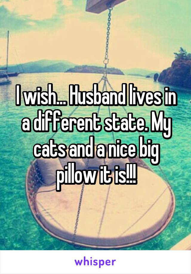 I wish... Husband lives in a different state. My cats and a nice big pillow it is!!!