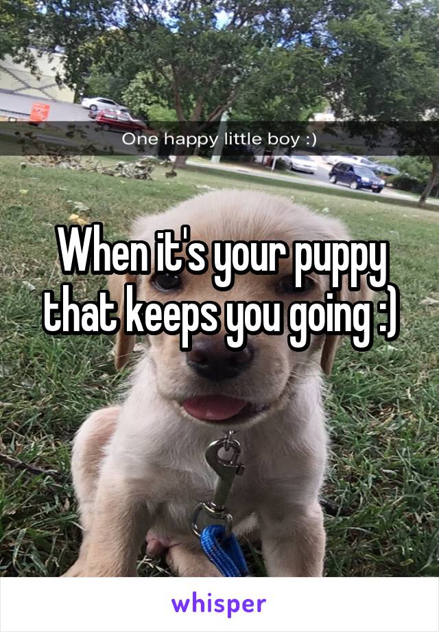 When it's your puppy that keeps you going :)
