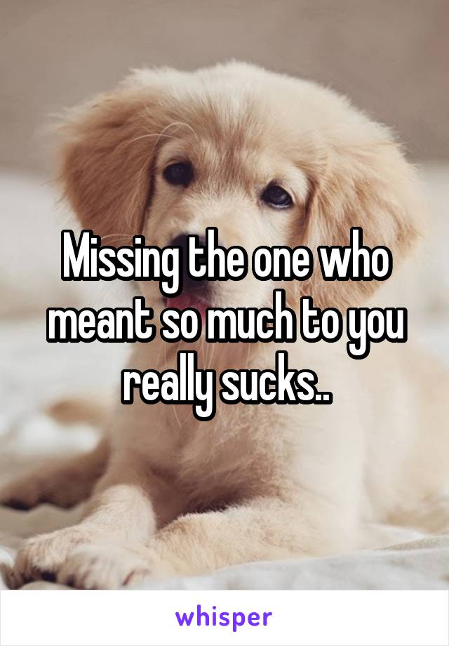 Missing the one who meant so much to you really sucks..