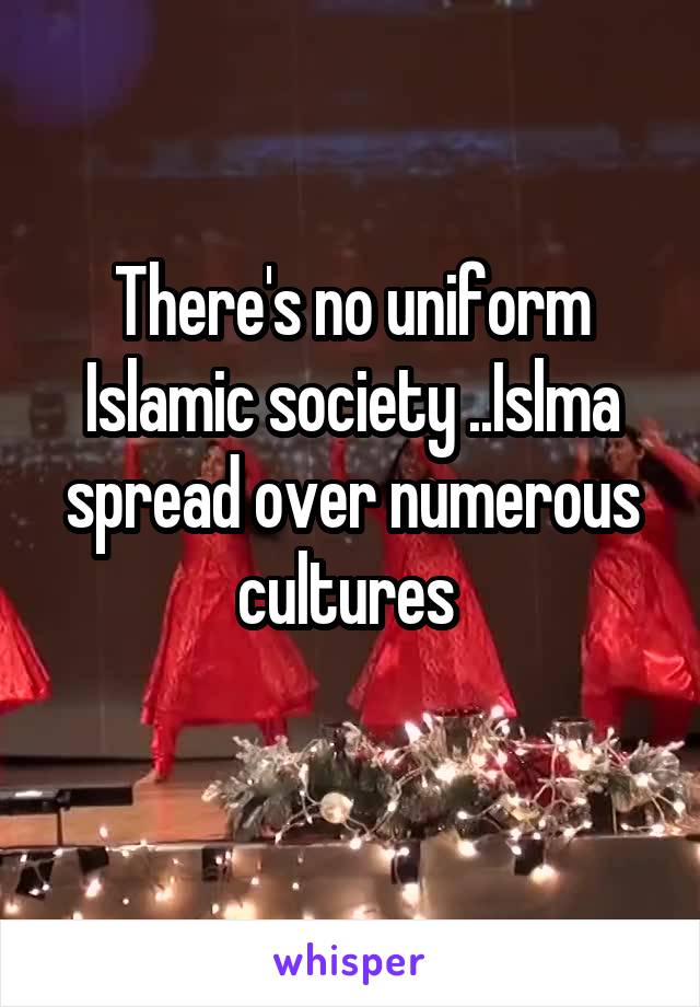 There's no uniform Islamic society ..Islma spread over numerous cultures 
