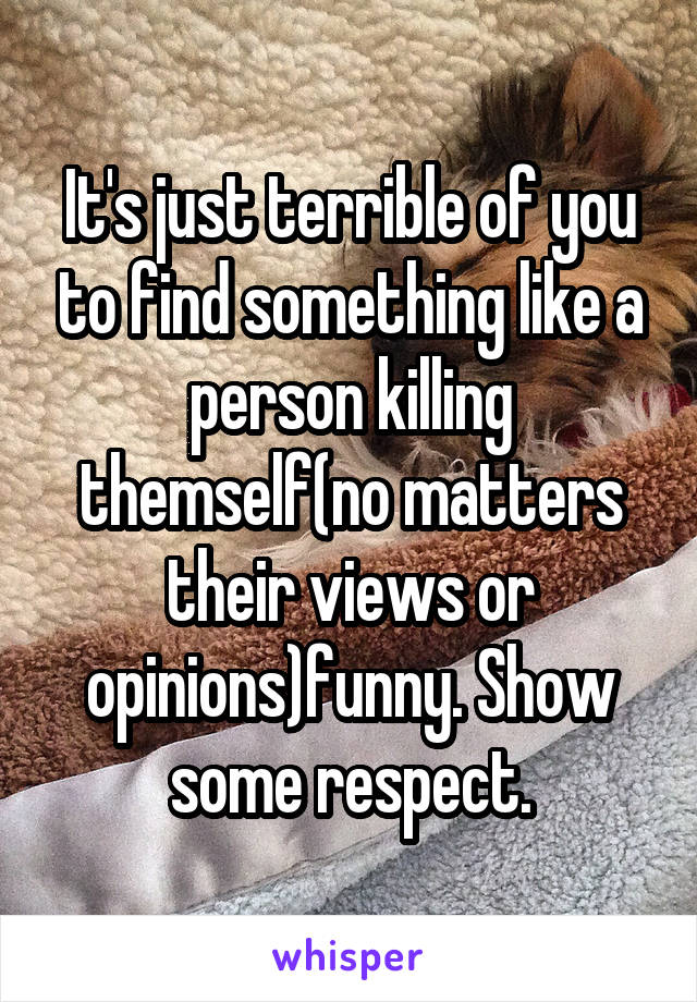 It's just terrible of you to find something like a person killing themself(no matters their views or opinions)funny. Show some respect.