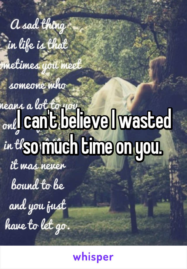 I can't believe I wasted so much time on you. 