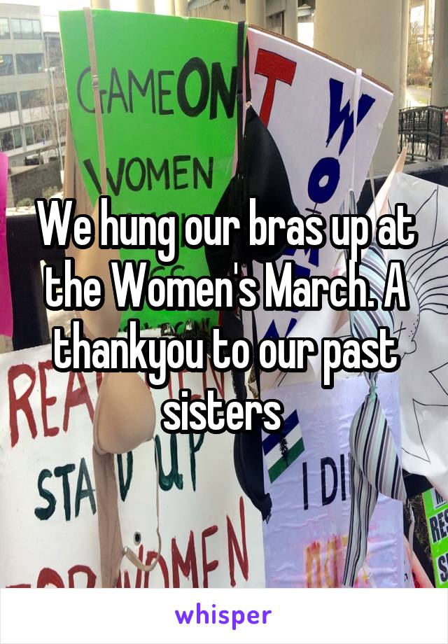 We hung our bras up at the Women's March. A thankyou to our past sisters 