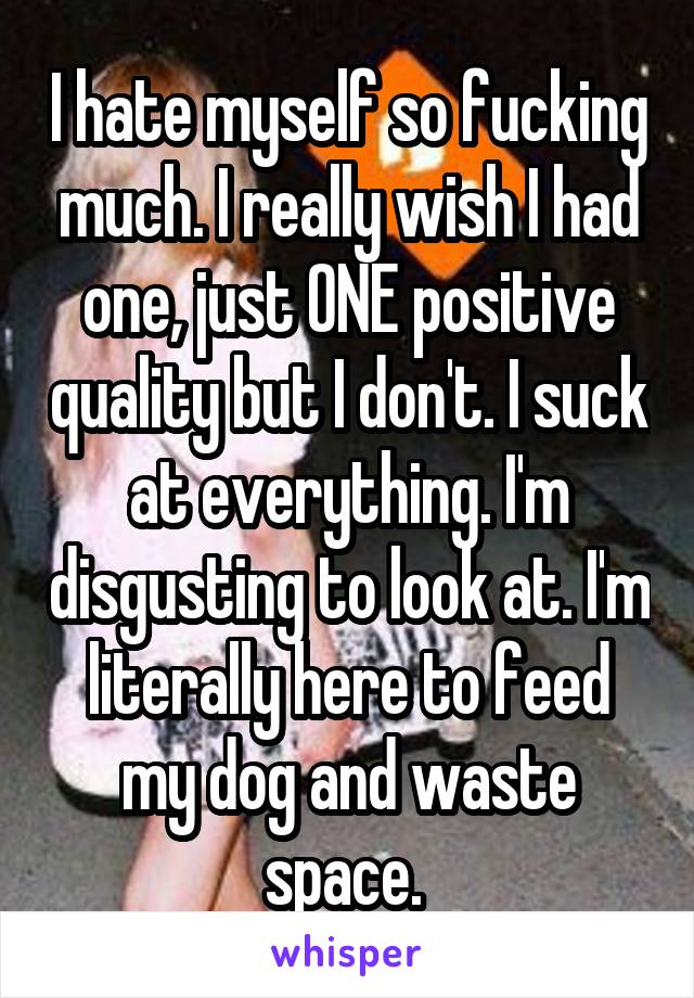 I hate myself so fucking much. I really wish I had one, just ONE positive quality but I don't. I suck at everything. I'm disgusting to look at. I'm literally here to feed my dog and waste space. 