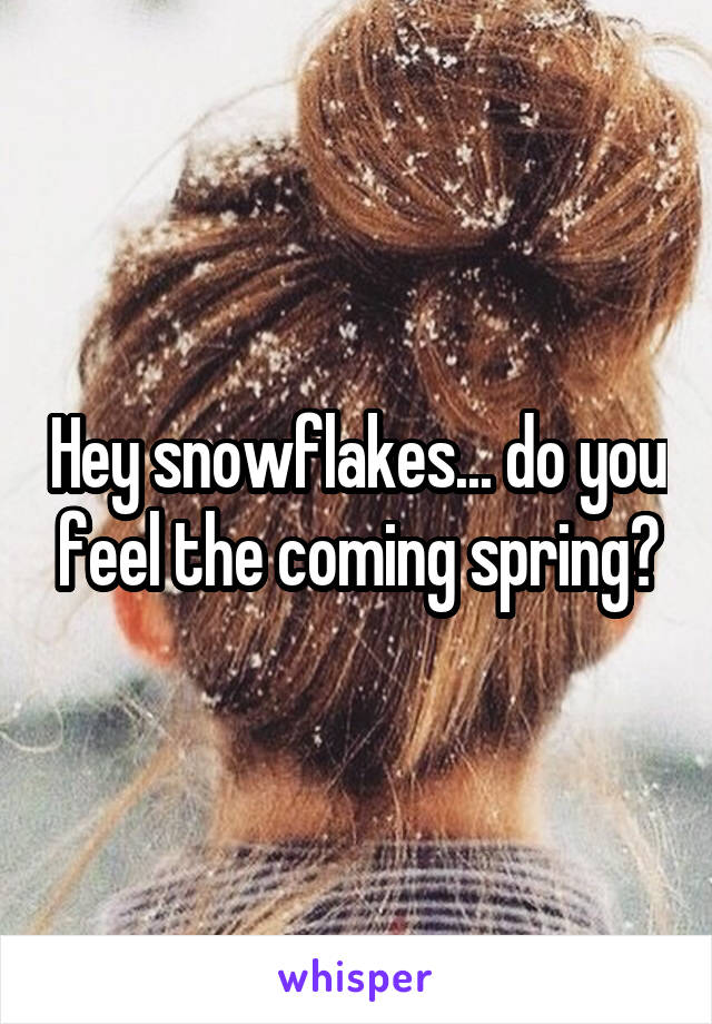 Hey snowflakes... do you feel the coming spring?