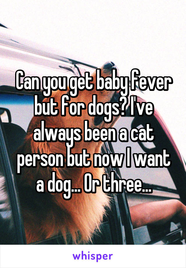 Can you get baby fever but for dogs? I've always been a cat person but now I want a dog... Or three...