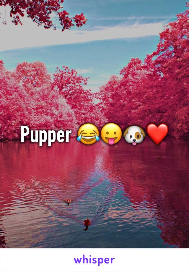 Pupper 😂😛🐶❤️