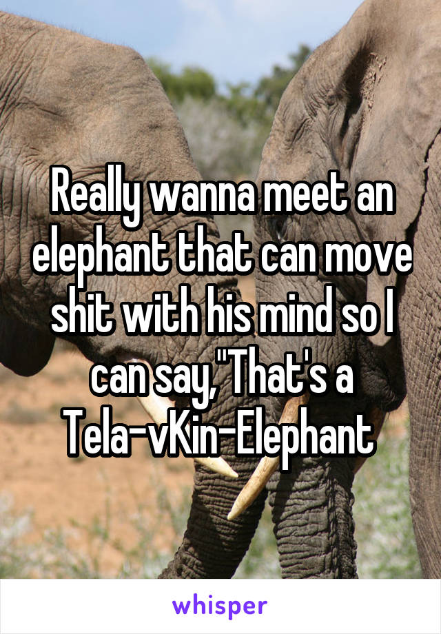 Really wanna meet an elephant that can move shit with his mind so I can say,"That's a Tela-vKin-Elephant 