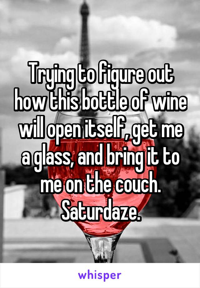 Trying to figure out how this bottle of wine will open itself, get me a glass, and bring it to me on the couch. Saturdaze.