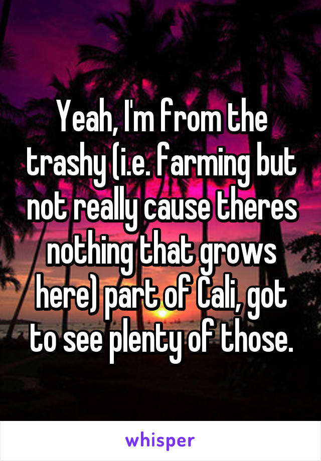 Yeah, I'm from the trashy (i.e. farming but not really cause theres nothing that grows here) part of Cali, got to see plenty of those.