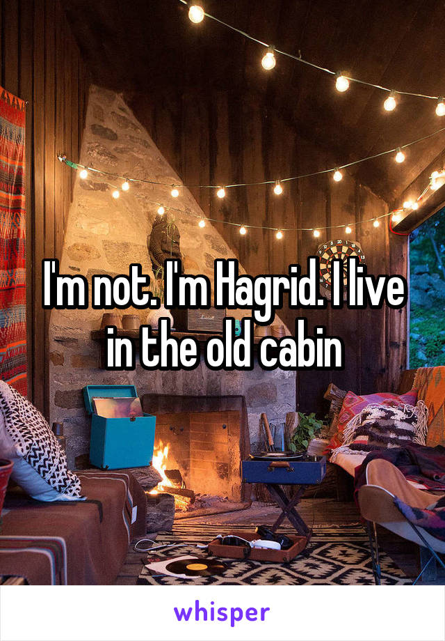 I'm not. I'm Hagrid. I live in the old cabin