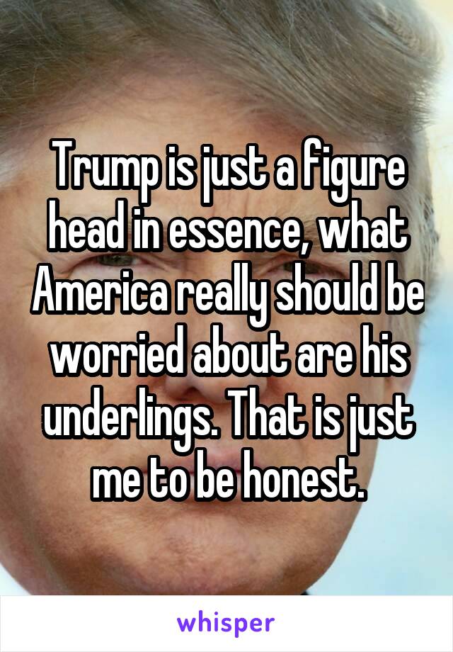 Trump is just a figure head in essence, what America really should be worried about are his underlings. That is just me to be honest.