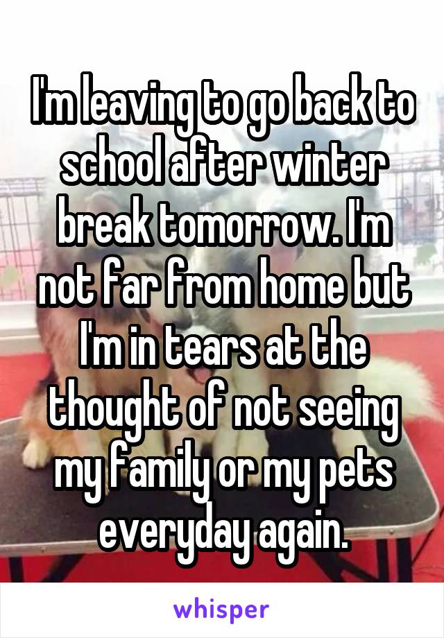 I'm leaving to go back to school after winter break tomorrow. I'm not far from home but I'm in tears at the thought of not seeing my family or my pets everyday again.