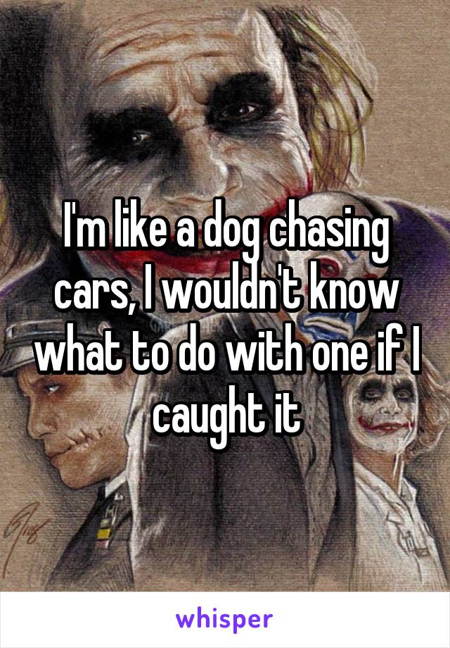 I'm like a dog chasing cars, I wouldn't know what to do with one if I caught it