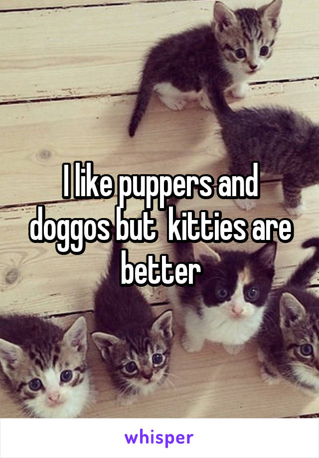 I like puppers and doggos but  kitties are better