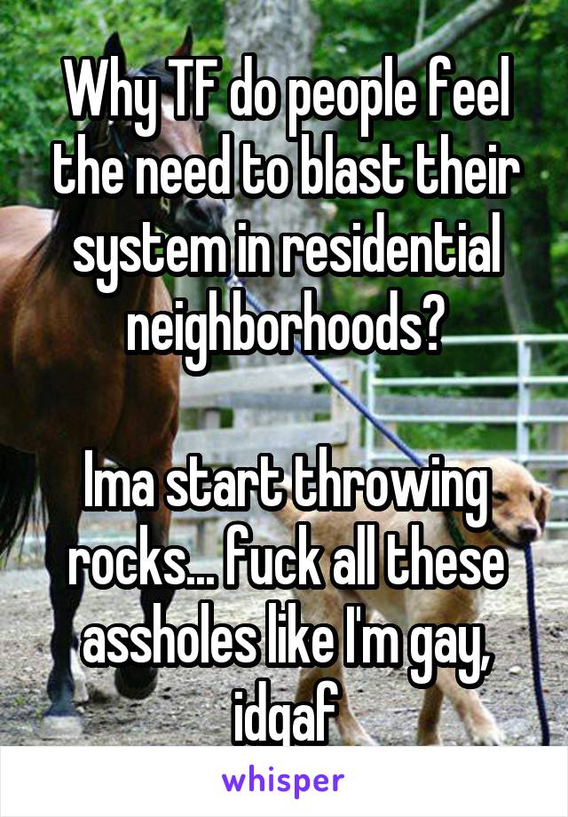 Why TF do people feel the need to blast their system in residential neighborhoods?

Ima start throwing rocks... fuck all these assholes like I'm gay, idgaf