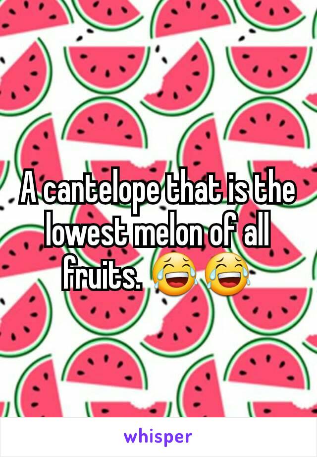 A cantelope that is the lowest melon of all fruits. 😂😂